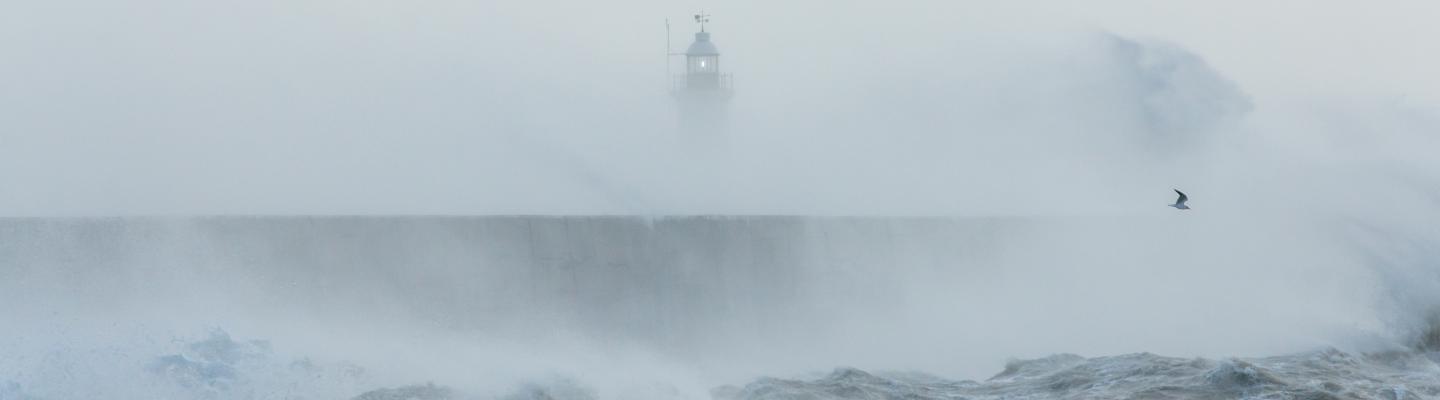 Newhaven, Sussex, Stormy Seas With Wave Crashing against Sea Wall. Lighthouse Partially Visible Behind. Seagull Flying Through Spray.
